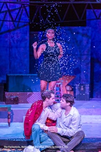The Fantasticks Reimagined